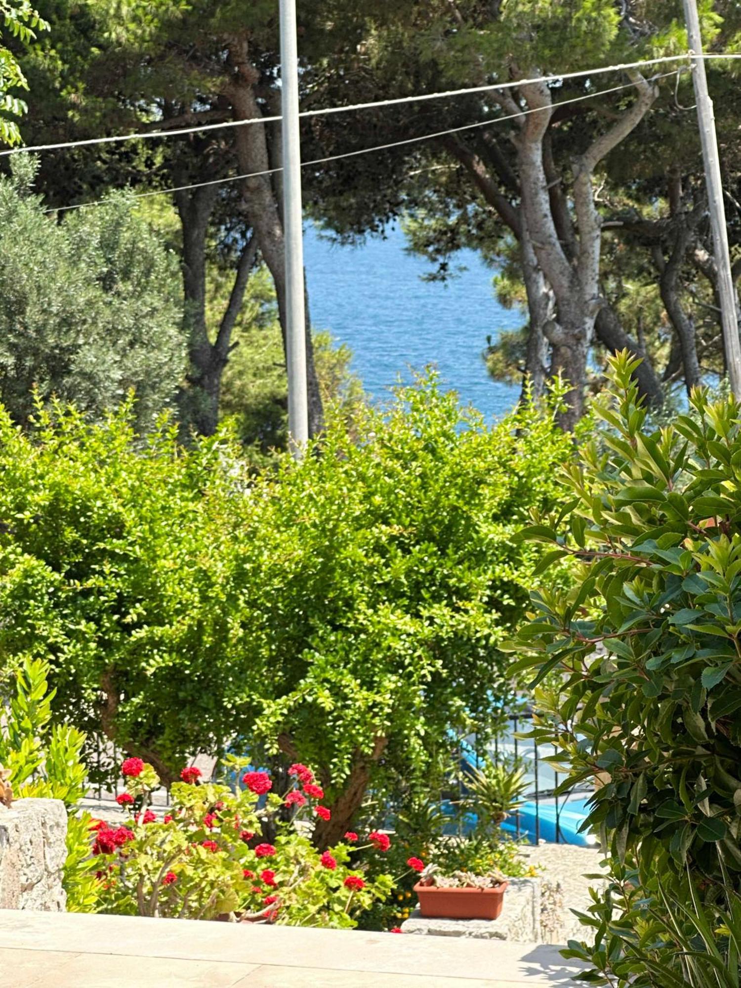 Villetta Dagre Fronte Mare Marittima Ngoại thất bức ảnh